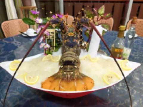 MEDAN BUNGA RAYA RESORT