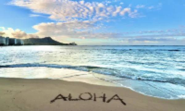 城市與棕櫚海濱美宿 · 免費停車 酒店