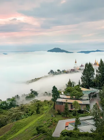 รูปภาพของพีโน่ลาเต้ เขาค้อ