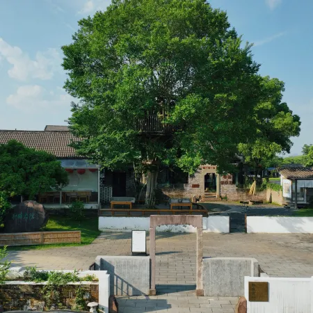 Quzhou Jianglang Mountain Harmony Courtyard·Four Arts of Song Dynasty