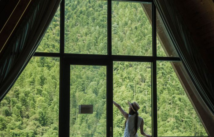 Bamboo Valley Guesthouse