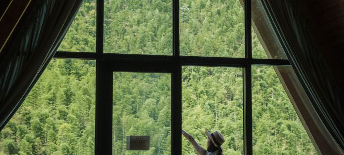 Bamboo Valley Guesthouse Hotels in Longyou