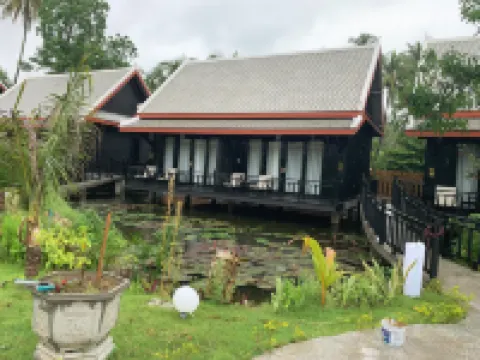 琅勃拉邦含羞草花園