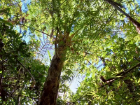 島ちゅら OHGiMi 大宜味村のホテル