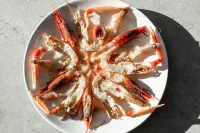 Cape of Rodon Resort, Green Village