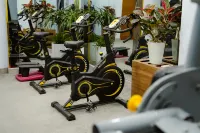 Viet Lotus Saigon Hotel - gimnasio