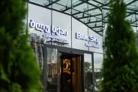 Blue Sky Apart-Hotel Batumi - Mountain view