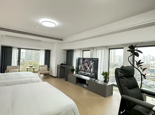 Ankang Wanda Plaza Mr. Zhai Homestay - New