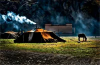 Floral Hotel·Yungu Hongduo | Limber Up · Yunqi Mountain Wild Bonfire Resort - bar