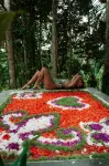Delta Casa Ubud - A-Frame Jungle Retreat - 수영장