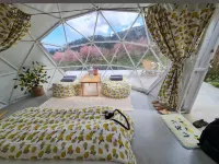 Doi inthanonTea farm 시리푸메 폭포 주변 호텔