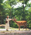 ニューワールドホテル大連 - カップル