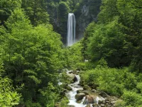 Wan Wan Paradise Takayama - Bergblick