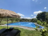 Boluo Xianglin Yunshe Homestay - Infinity Pools