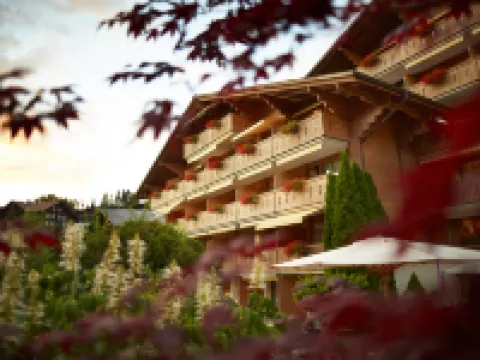 Gstaaderhof - Active & Relax Hotel Hotels in Gstaad