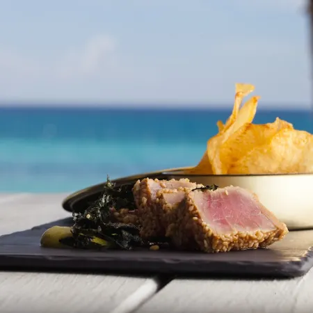 Catalonia Bayahibe - All Inclusive