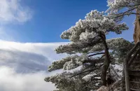 黃山玉屏樓賓館 - 浪漫/情侶