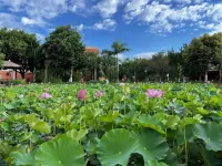 Mengzi Jingxin Hotel Hotels in Mengzi