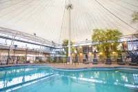 Nightcap at Roxby Downs - palestra