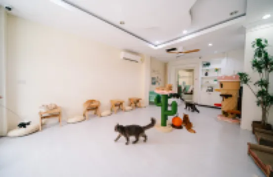 Catnip Seaside Hotel&Cafe