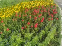 Aershan Alvarez Hotel (Aershan Tourist Resort Train Station)