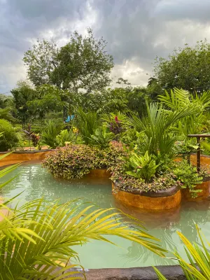 Heliconias nature Inn and Hot Springs Hotels in 