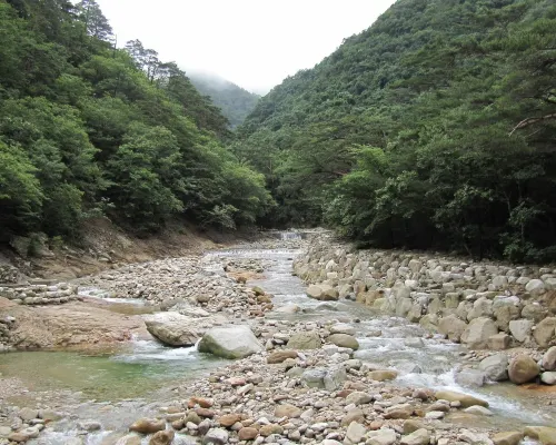 카시아 속초 호텔 주변 Photos