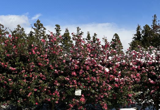 가족 여행 숙소