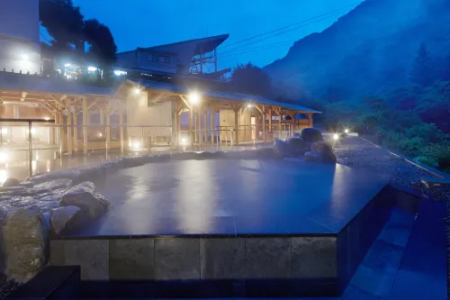 Okudogo Ichiyunomori Hotels in Tōon