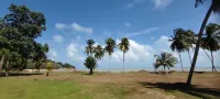 Tanjung Inn Hotels in Balok