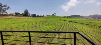Rose Garden Enclave for Families - vue sur la montagne