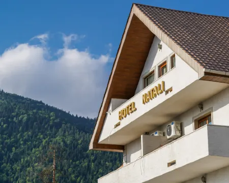 Natali Hotel Hotels in Borjomi