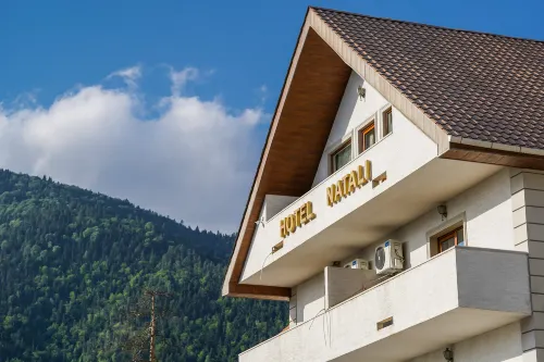 Natali Hotel Hotels in Borjomi