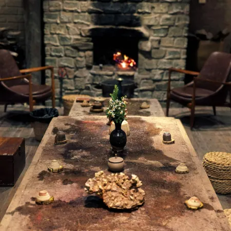 Shangcaoju · Traditional Chinese Medicine Aesthetic Space Homestay