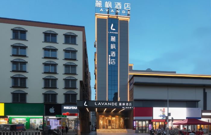 Lavande Hotels(Longhui County Government,Daqiao Road)
