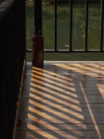 Bamboo Forest Wonderland