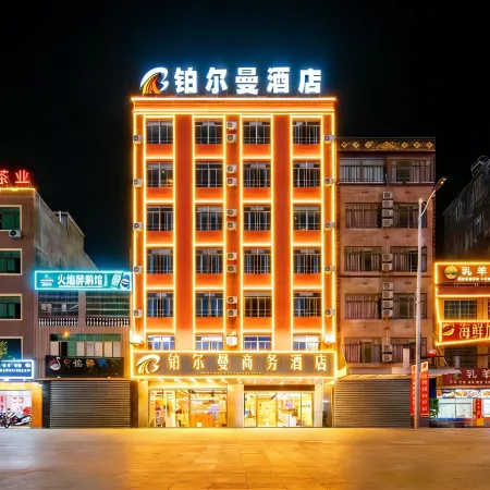 Pullman Business Hotel