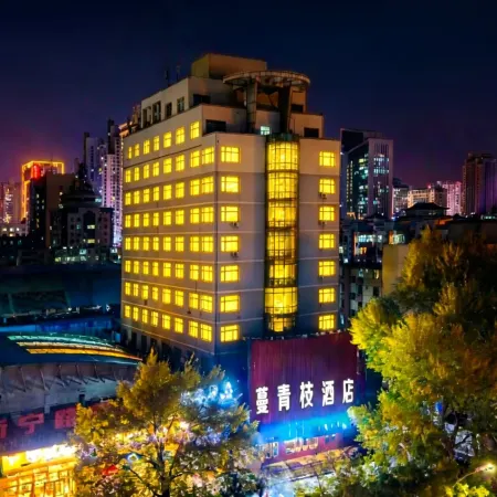 XINING MANQINGZHI HOTEL