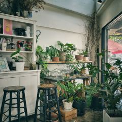 GLOW coffee User Photo