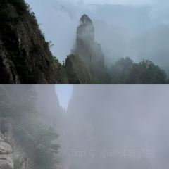 大明轩 User Photo