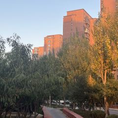 Wuhouyangguang User Photo