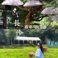 曼与蔓·自然美学庄园 User Photo