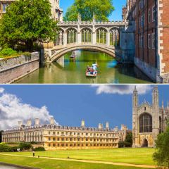 Jack's Gelato User Photo