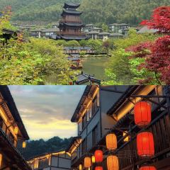 天镜池 User Photo