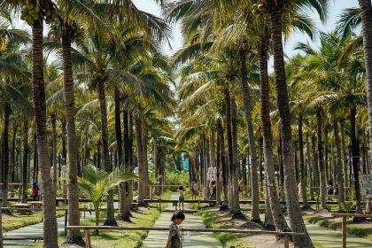 Elefin Farm & Cafe เอเลฟิน ฟาร์ม แอนด์ คาเฟ่