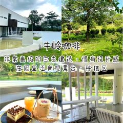 咖利树饭店 User Photo