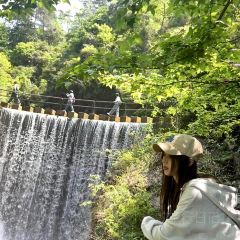 404Brunch&Bistro User Photo