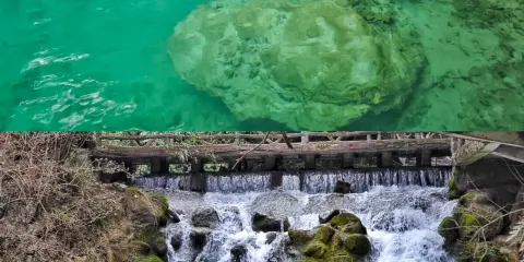 小九寨民宿土菜館