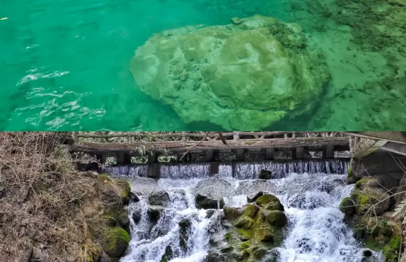 小九寨民宿土菜館
