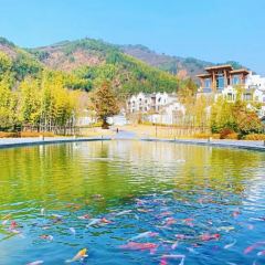 BAI YUN User Photo
